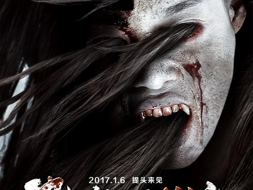 ApollosUniversity国际商务文凭证书
